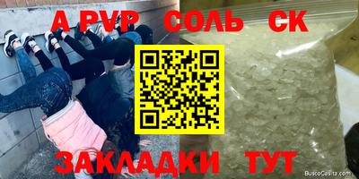 стаф Бузулук