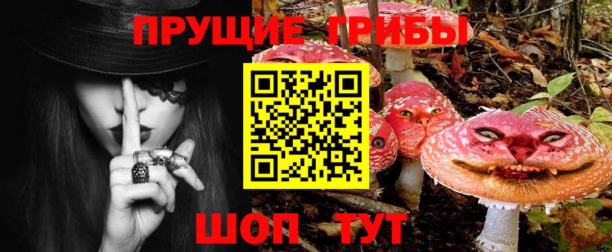 Псилоцибиновые грибы Psilocybine cubensis  Вход с VPN  Мелеуз 