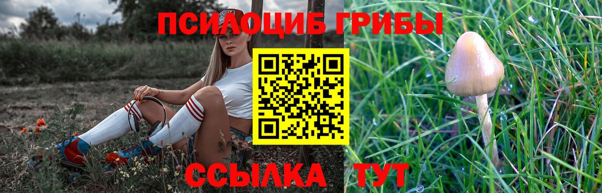 Галлюциногенные грибы прущие грибы Мелеуз